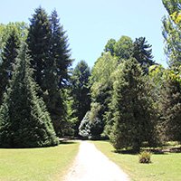 UACh botanical garden